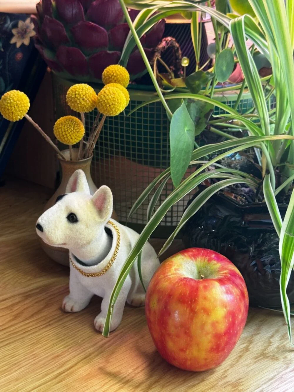 English Bull Terrier Nodder Bobble Dog Flocked Figurine, Vintage Circa 1980-90s